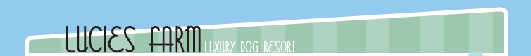 Lucies Farm luxury dog resort